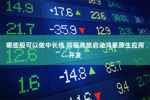 哪些股可以做中长线 同程商旅启动鸿蒙原生应用开发