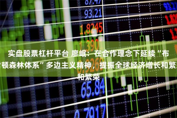 实盘股票杠杆平台 廖岷：在合作理念下延续“布雷顿森林体系”多边主义精神，提振全球经济增长和繁荣