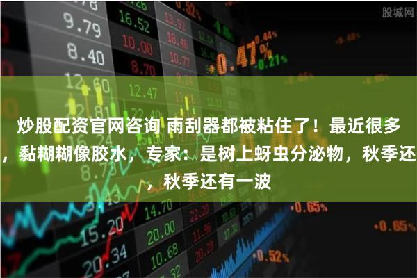 炒股配资官网咨询 雨刮器都被粘住了！最近很多车遭殃，黏糊糊像胶水，专家：是树上蚜虫分泌物，秋季还有一波