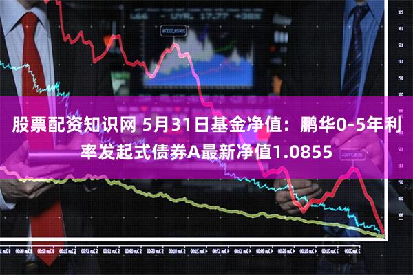 股票配资知识网 5月31日基金净值：鹏华0-5年利率发起式债券A最新净值1.0855