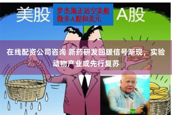 在线配资公司咨询 新药研发回暖信号渐现，实验动物产业或先行复苏