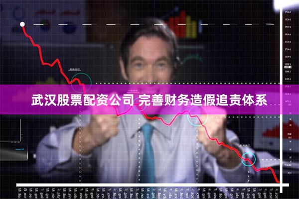 武汉股票配资公司 完善财务造假追责体系