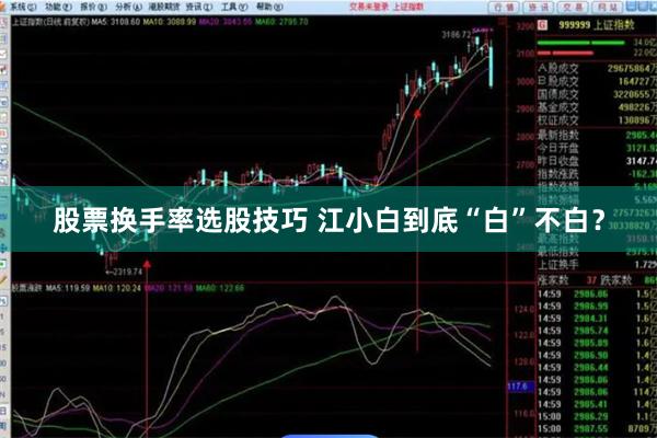 股票换手率选股技巧 江小白到底“白”不白？