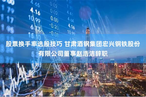 股票换手率选股技巧 甘肃酒钢集团宏兴钢铁股份有限公司董事赵浩洁辞职
