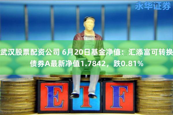 武汉股票配资公司 6月20日基金净值：汇添富可转换债券A最新净值1.7842，跌0.81%