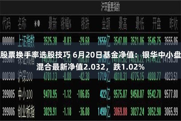 股票换手率选股技巧 6月20日基金净值：银华中小盘混合最新净值2.032，跌1.02%