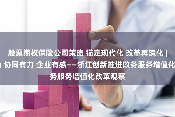 股票期权保险公司策略 锚定现代化 改革再深化 | 政府有为 协同有力 企业有感——浙江创新推进政务服务增值化改革观察