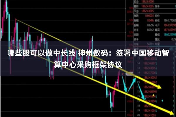 哪些股可以做中长线 神州数码：签署中国移动智算中心采购框架协议