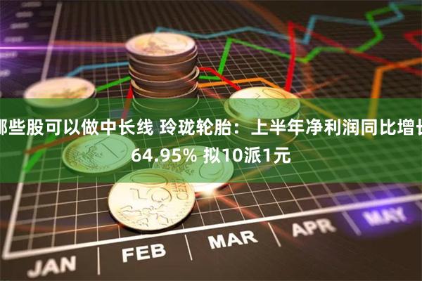 哪些股可以做中长线 玲珑轮胎：上半年净利润同比增长64.95% 拟10派1元