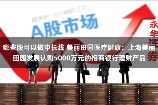 哪些股可以做中长线 美丽田园医疗健康：上海美丽田园发展认购5000万元的招商银行理财产品