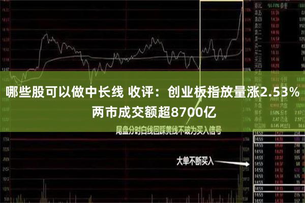 哪些股可以做中长线 收评：创业板指放量涨2.53% 两市成交额超8700亿