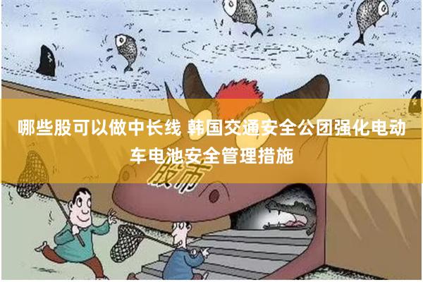 哪些股可以做中长线 韩国交通安全公团强化电动车电池安全管理措施