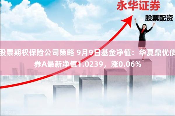 股票期权保险公司策略 9月9日基金净值：华夏鼎优债券A最新净值1.0239，涨0.06%
