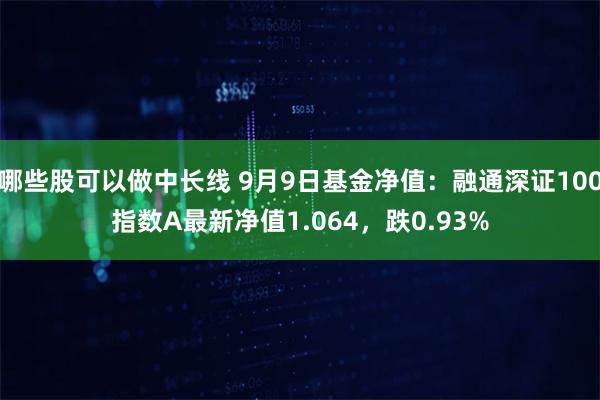 哪些股可以做中长线 9月9日基金净值：融通深证100指数A最新净值1.064，跌0.93%