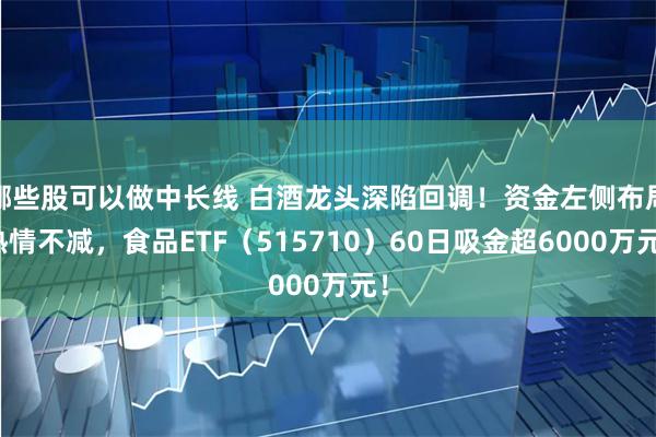 哪些股可以做中长线 白酒龙头深陷回调！资金左侧布局热情不减，食品ETF（515710）60日吸金超6000万元！