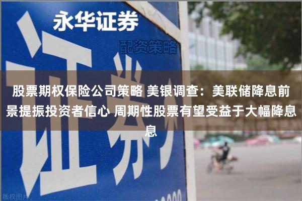 股票期权保险公司策略 美银调查：美联储降息前景提振投资者信心 周期性股票有望受益于大幅降息