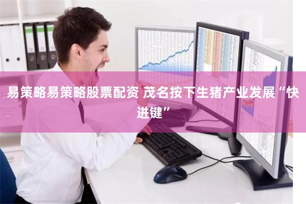 易策略易策略股票配资 茂名按下生猪产业发展“快进键”