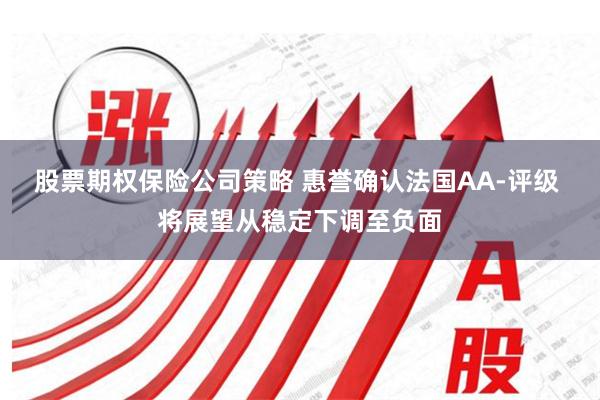 股票期权保险公司策略 惠誉确认法国AA-评级 将展望从稳定下调至负面
