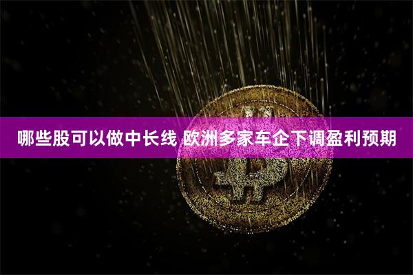 哪些股可以做中长线 欧洲多家车企下调盈利预期