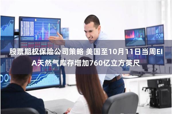 股票期权保险公司策略 美国至10月11日当周EIA天然气库存增加760亿立方英尺