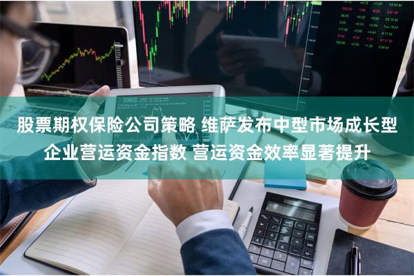 股票期权保险公司策略 维萨发布中型市场成长型企业营运资金指数 营运资金效率显著提升