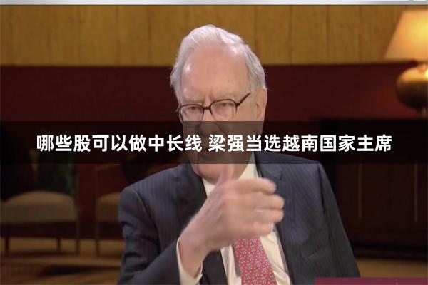 哪些股可以做中长线 梁强当选越南国家主席