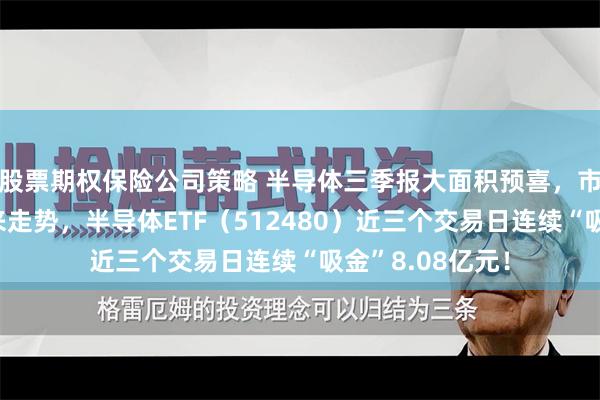 股票期权保险公司策略 半导体三季报大面积预喜，市场积极看好未来走势，半导体ETF（512480）近三个交易日连续“吸金”8.08亿元！