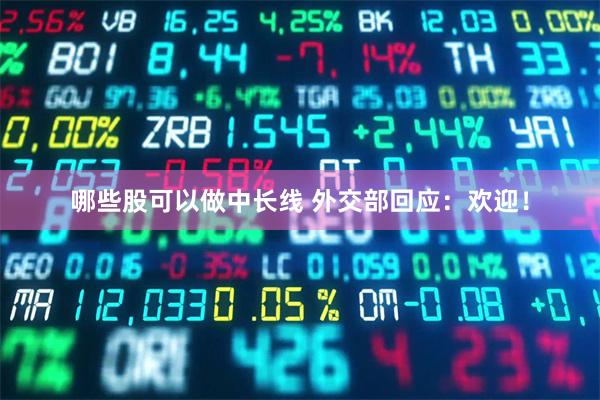 哪些股可以做中长线 外交部回应：欢迎！