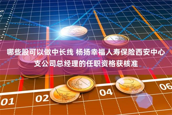 哪些股可以做中长线 杨扬幸福人寿保险西安中心支公司总经理的任职资格获核准