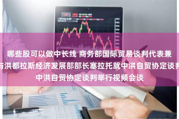 哪些股可以做中长线 商务部国际贸易谈判代表兼副部长王受文与洪都拉斯经济发展部部长塞拉托就中洪自贸协定谈判举行视频会谈
