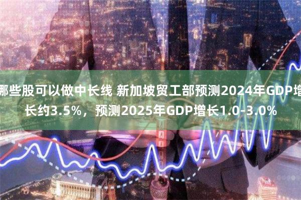 哪些股可以做中长线 新加坡贸工部预测2024年GDP增长约3.5%，预测2025年GDP增长1.0-3.0%