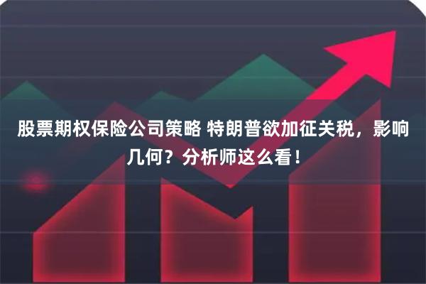股票期权保险公司策略 特朗普欲加征关税，影响几何？分析师这么看！