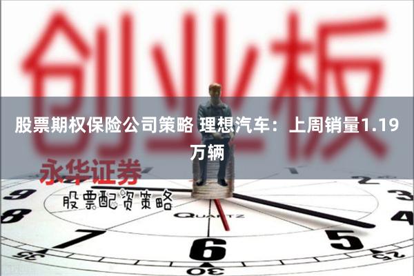 股票期权保险公司策略 理想汽车：上周销量1.19万辆
