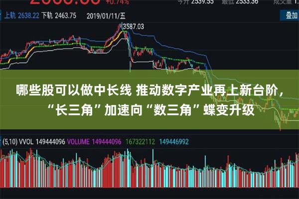 哪些股可以做中长线 推动数字产业再上新台阶，“长三角”加速向“数三角”蝶变升级