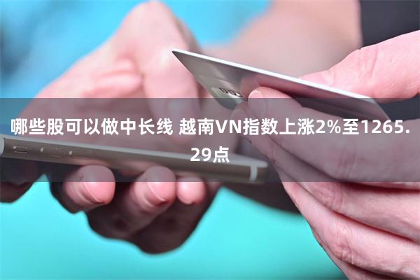 哪些股可以做中长线 越南VN指数上涨2%至1265.29点