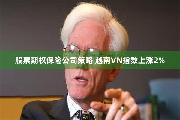股票期权保险公司策略 越南VN指数上涨2%