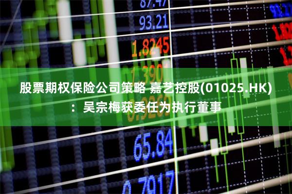 股票期权保险公司策略 嘉艺控股(01025.HK)：吴宗梅获委任为执行董事
