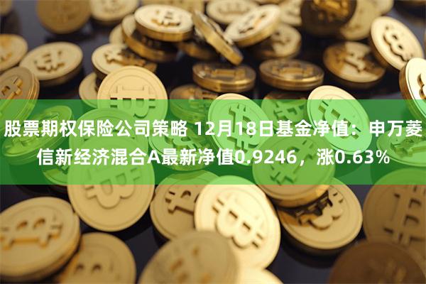股票期权保险公司策略 12月18日基金净值：申万菱信新经济混合A最新净值0.9246，涨0.63%