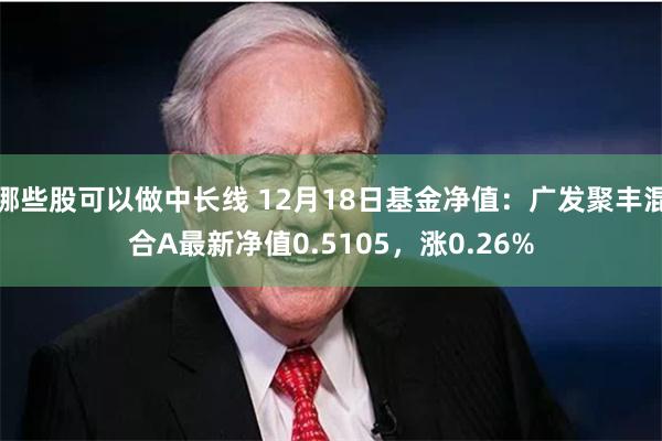 哪些股可以做中长线 12月18日基金净值：广发聚丰混合A最新净值0.5105，涨0.26%