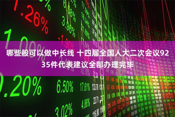 哪些股可以做中长线 十四届全国人大二次会议9235件代表建议全部办理完毕