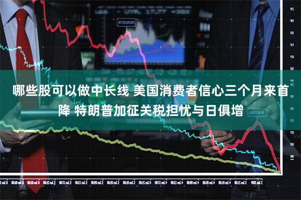 哪些股可以做中长线 美国消费者信心三个月来首降 特朗普加征关