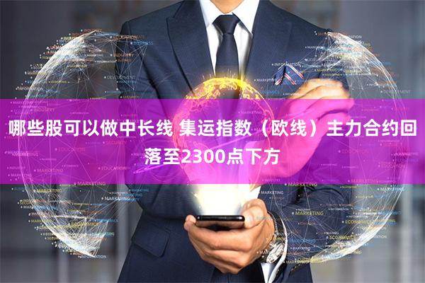 哪些股可以做中长线 集运指数（欧线）主力合约回落至2300点下方