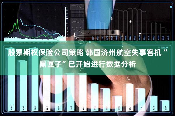 股票期权保险公司策略 韩国济州航空失事客机“黑匣子”已开始进行数据分析
