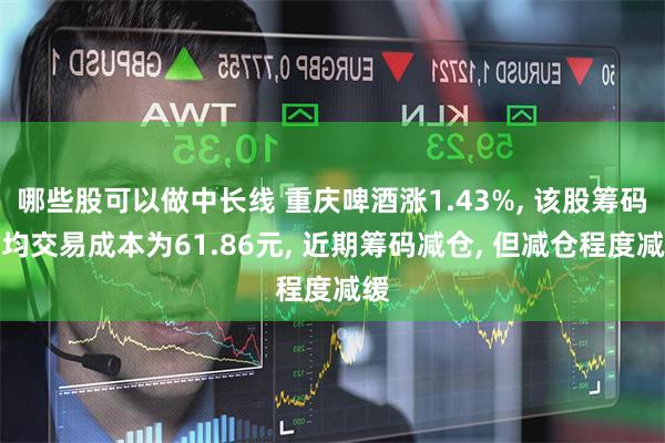 哪些股可以做中长线 重庆啤酒涨1.43%, 该股筹码平均交易