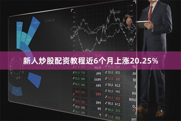 新人炒股配资教程近6个月上涨20.25%