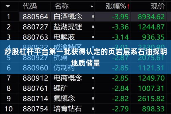 炒股杠杆平台第一批获得认定的页岩层系石油探明地质储量