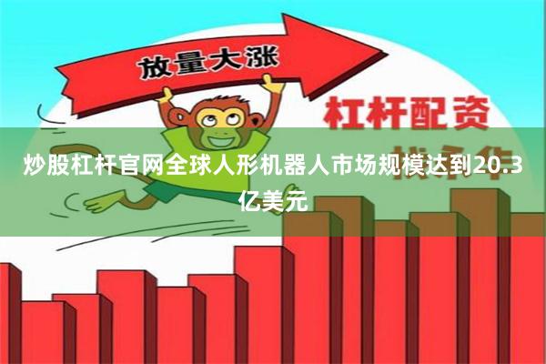炒股杠杆官网全球人形机器人市场规模达到20.3亿美元