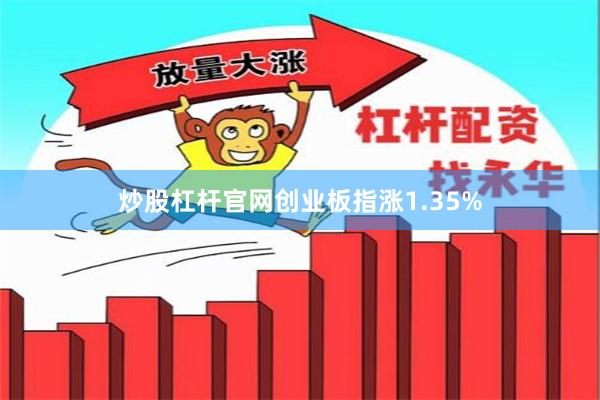炒股杠杆官网创业板指涨1.35%