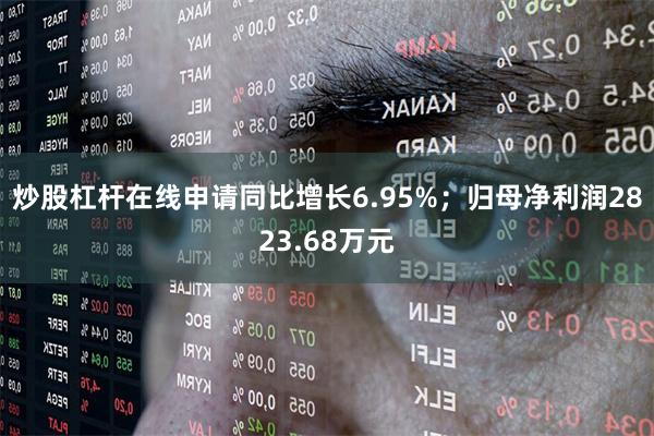 炒股杠杆在线申请同比增长6.95%；归母净利润2823.68万元