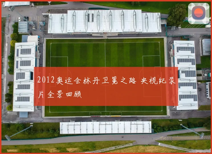 2012奥运会林丹卫冕之路 央视纪录片全景回顾